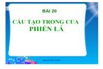 Bài 20. Cấu tạo trong của phiến lá