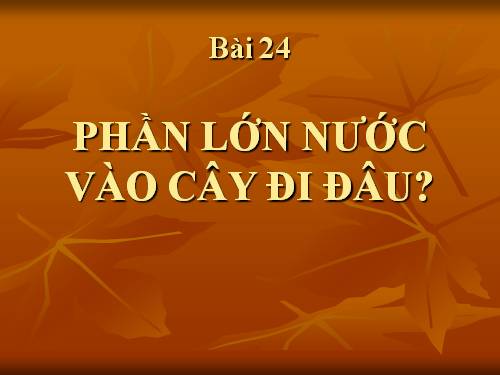 Bài 24. Phần lớn nước vào cây đi đâu?