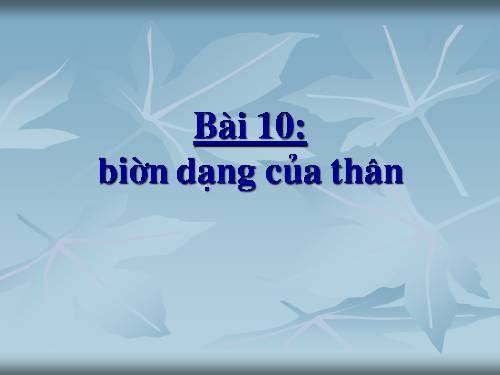 Bài 18. Biến dạng của thân