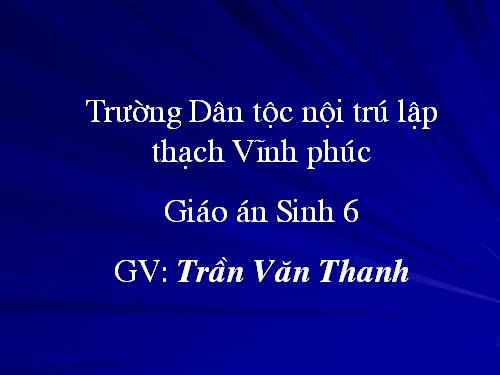 Bài 28. Cấu tạo và chức năng của hoa