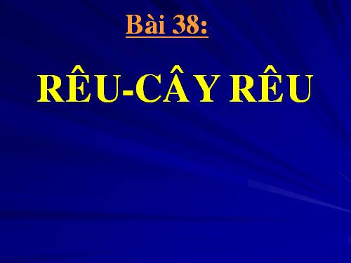 Bài 38. Rêu - Cây rêu