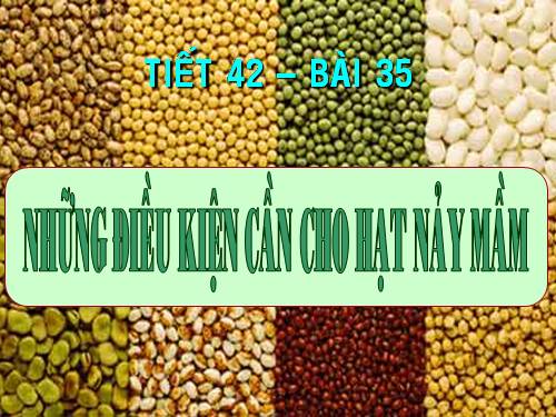 Bài 35. Những điều kiện cần cho hạt nảy mầm