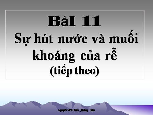 Bài 11. Sự hút nước và muối khoáng của rễ