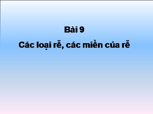 Bài 9. Các loại rễ, các miền của rễ