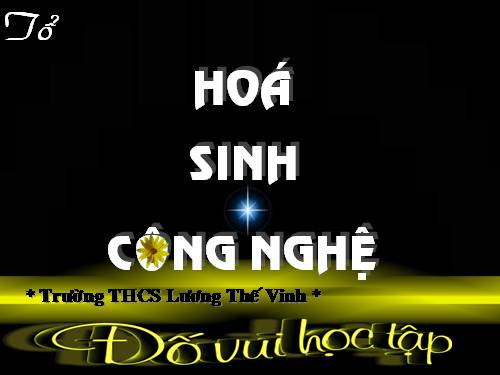 Vòng 2 khối 8