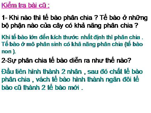 Bài 9. Các loại rễ, các miền của rễ