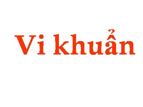 Bài 50. Vi khuẩn