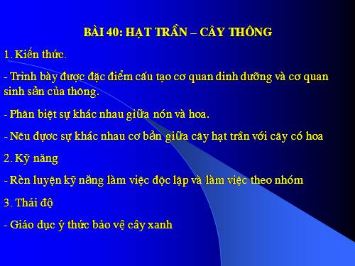 Bài 40. Hạt trần - Cây thông