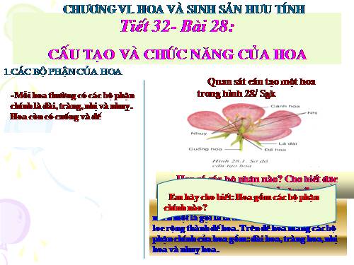 Bài 28. Cấu tạo và chức năng của hoa