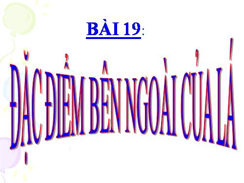 Bài 19. Đặc điểm bên ngoài của lá