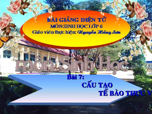 Bài 7. Cấu tạo tế bào thực vật