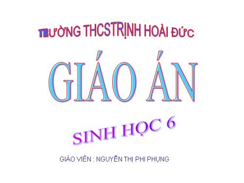 Bài 19. Đặc điểm bên ngoài của lá