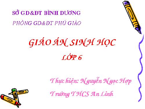 Bài 32. Các loại quả