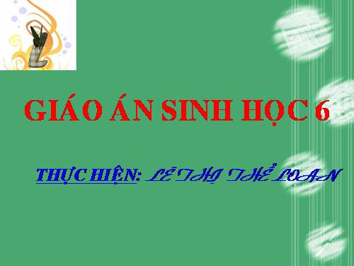 Bài 20. Cấu tạo trong của phiến lá