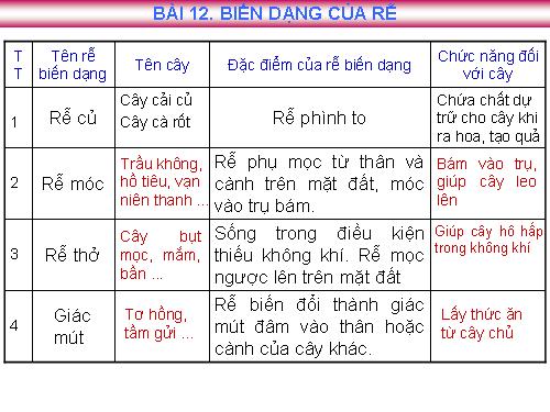 Bài 12. Biến dạng của rễ