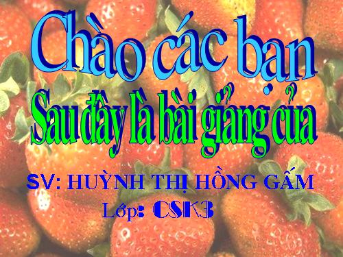 Bài 32. Các loại quả