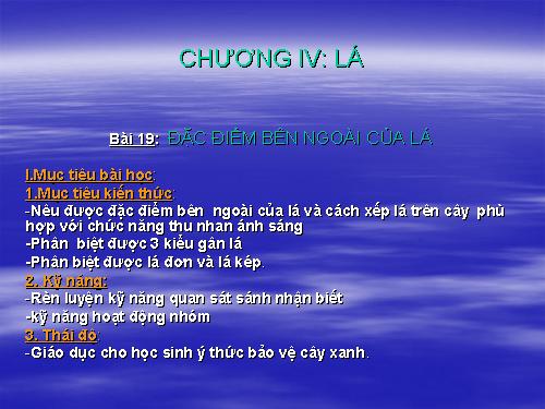 Bài 19. Đặc điểm bên ngoài của lá