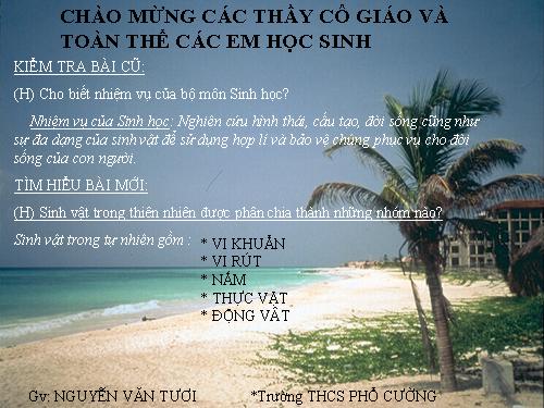 Bài 3. Đặc điểm chung của thực vật