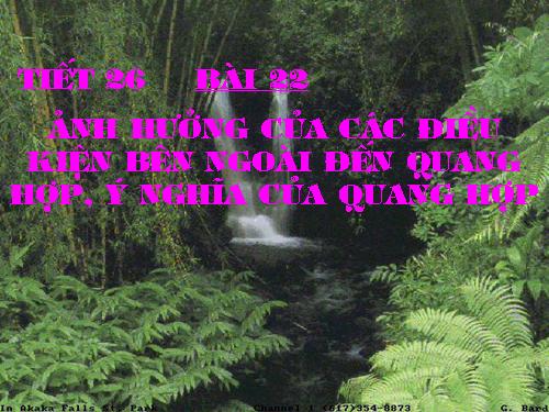 Bài 22. Ảnh hưởng của các điều kiện bên ngoài đến quang hợp, ý nghĩa của quang hợp