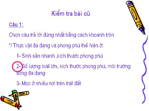 Bài 4. Có phải tất cả thực vật đều có hoa?