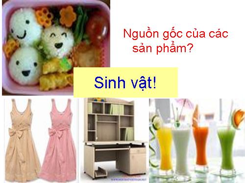 Bài 2. Nhiệm vụ của Sinh học. Đại cương về giới Thực vật