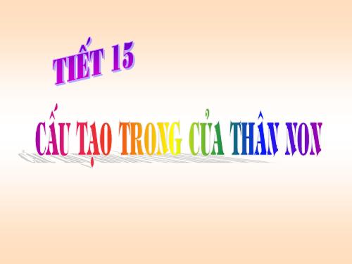 Bài 15. Cấu tạo trong của thân non