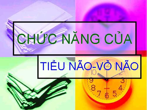 tieu nao va vo nao