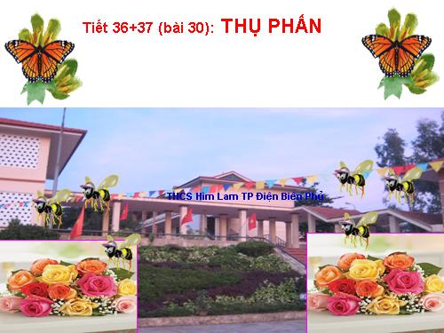 Bài 30. Thụ phấn