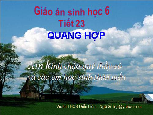 Bài 21. Quang hợp