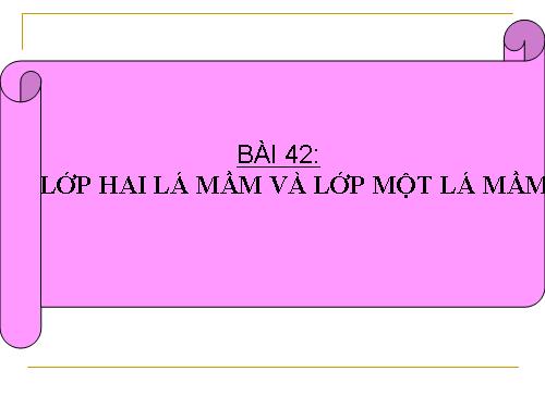 Bài 42. Lớp Hai lá mầm và lớp Một lá mầm