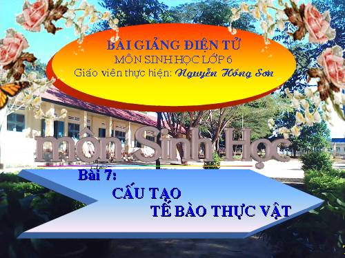 Bài 7. Cấu tạo tế bào thực vật