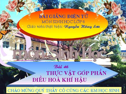 Bài 46. Thực vật góp phần điều hoà khí hậu