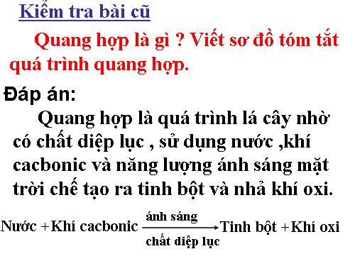 Bài 22. Ảnh hưởng của các điều kiện bên ngoài đến quang hợp, ý nghĩa của quang hợp