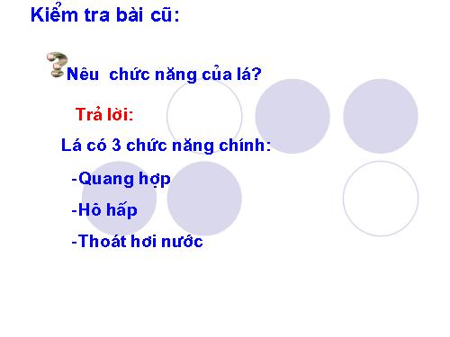 Bài 25. Biến dạng của lá