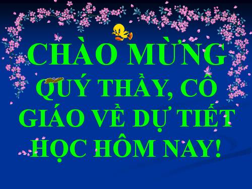 Bài 10. Cấu tạo miền hút của rễ