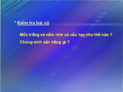Bài 51. Nấm