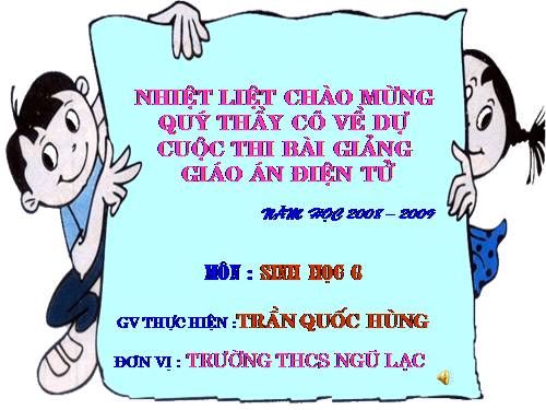 Bài 39. Quyết - Cây dương xỉ