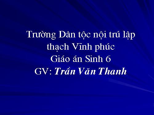 Bài 48. Vai trò của thực vật đối với động vật và đối với đời sống con người