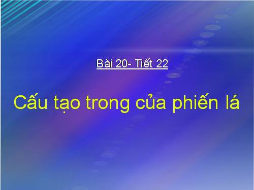 Bài 20. Cấu tạo trong của phiến lá