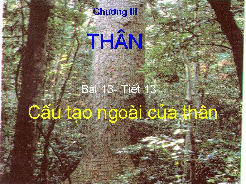 Bài 13. Cấu tạo ngoài của thân