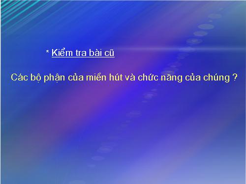 Bài 11. Sự hút nước và muối khoáng của rễ