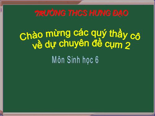 Tiết 23. Quang hợp