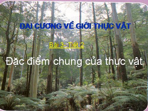 Bài 3. Đặc điểm chung của thực vật