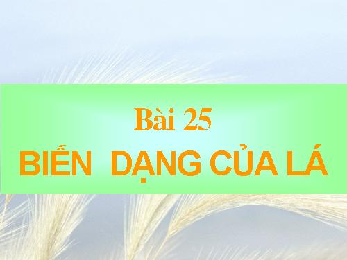 Bài 25. Biến dạng của lá