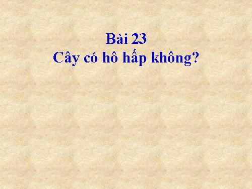 Bài 23. Cây có hô hấp không?