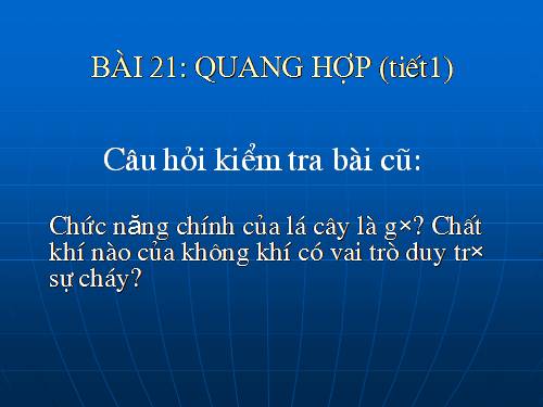 Bài 21. Quang hợp