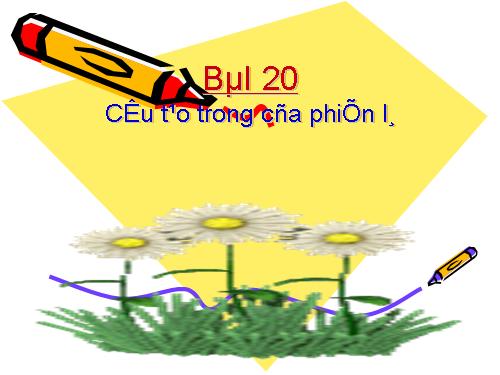 Bài 20. Cấu tạo trong của phiến lá