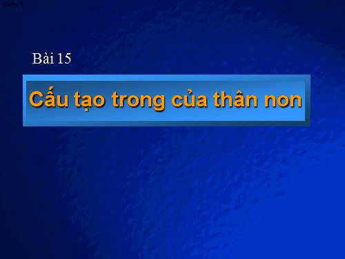 Bài 15. Cấu tạo trong của thân non