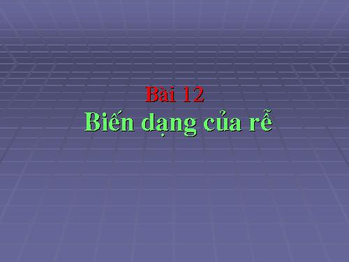 Bài 12. Biến dạng của rễ