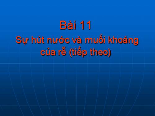 Bài 11. Sự hút nước và muối khoáng của rễ